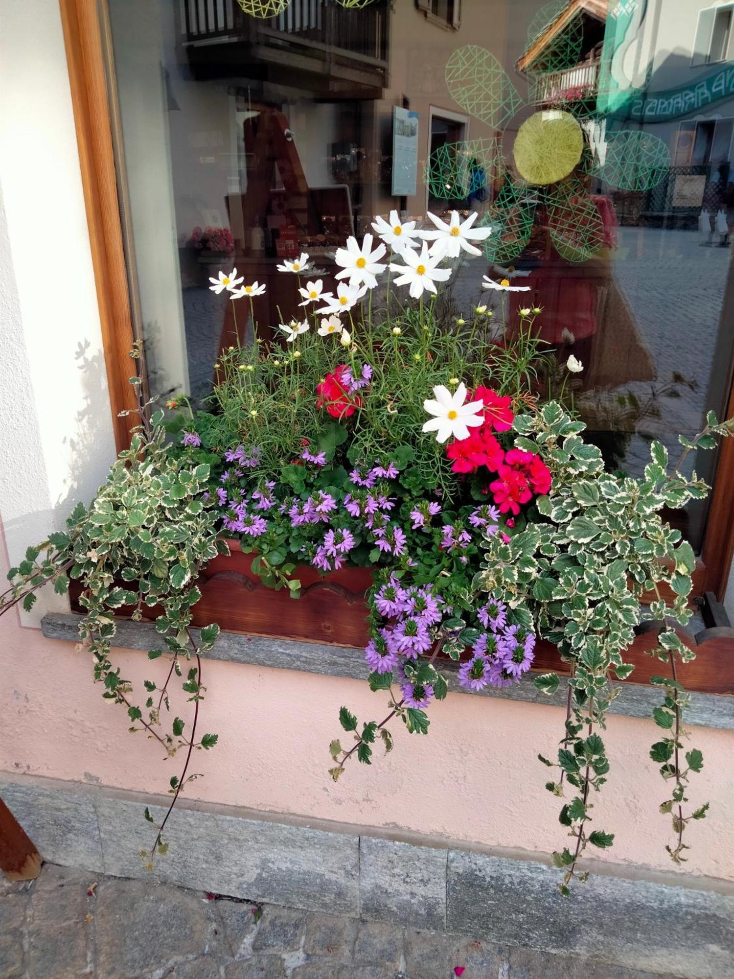 Appartamento Signorile Con Giardino 아오스타 외부 사진